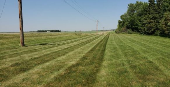 Overseeding