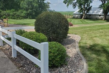 Hedge Trimming