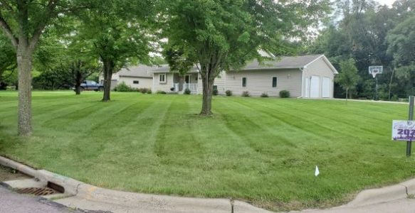 Low Level Tree Trimming