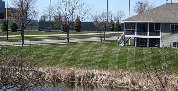 Residential Lawn Care Maintenance